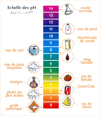 Echelle des pH