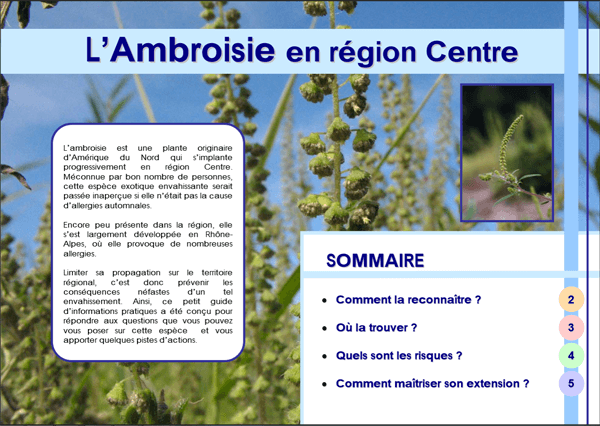 L'Ambroisie en région Centre