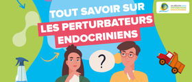 En savoir plus sur les perturbateurs endocriniens