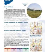 Bulletin n°36 